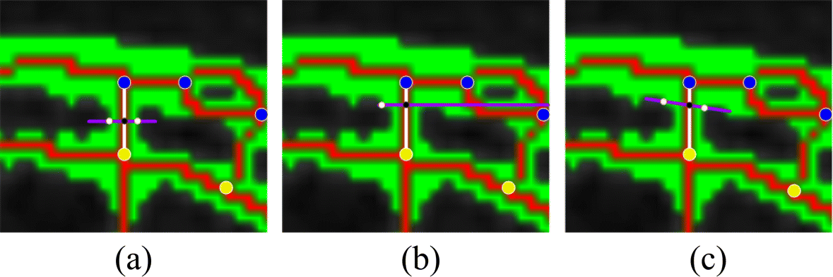 Fig. 10