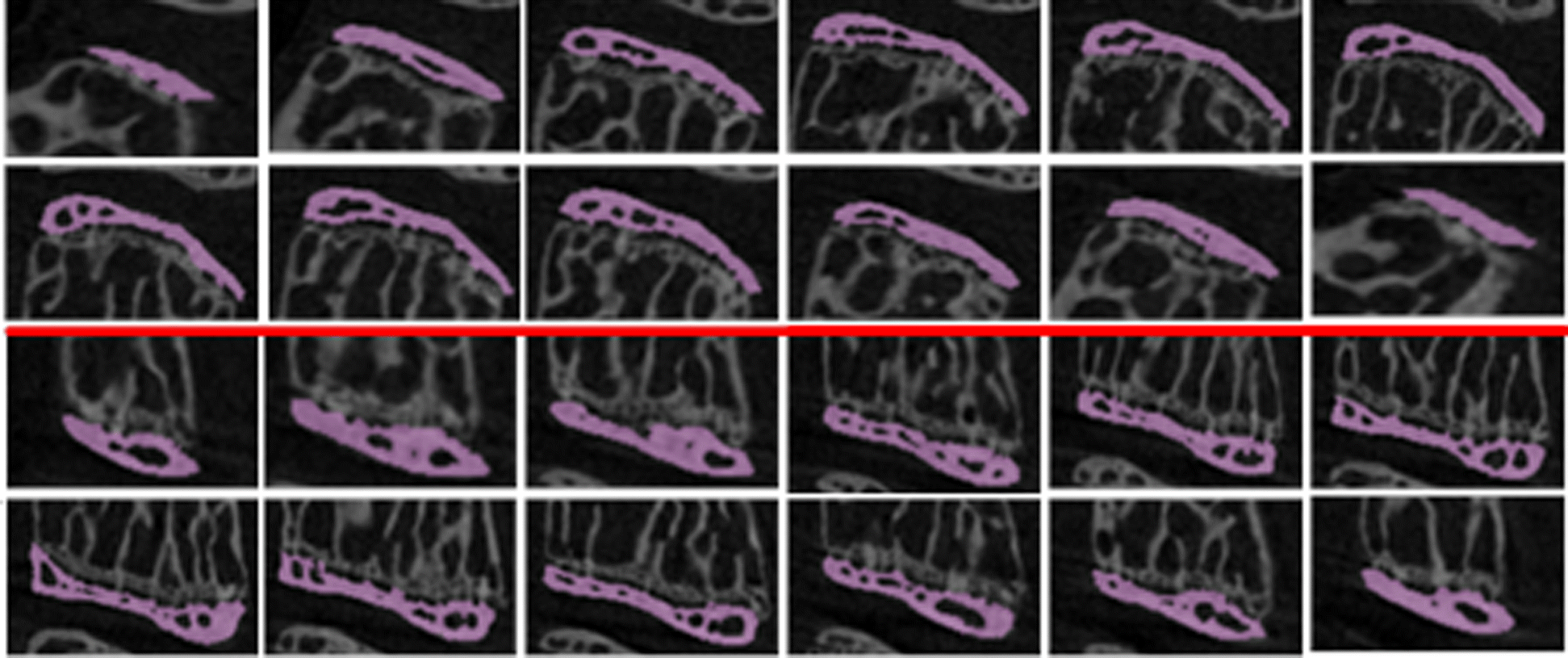 Fig. 12