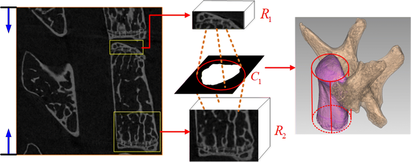 Fig. 4