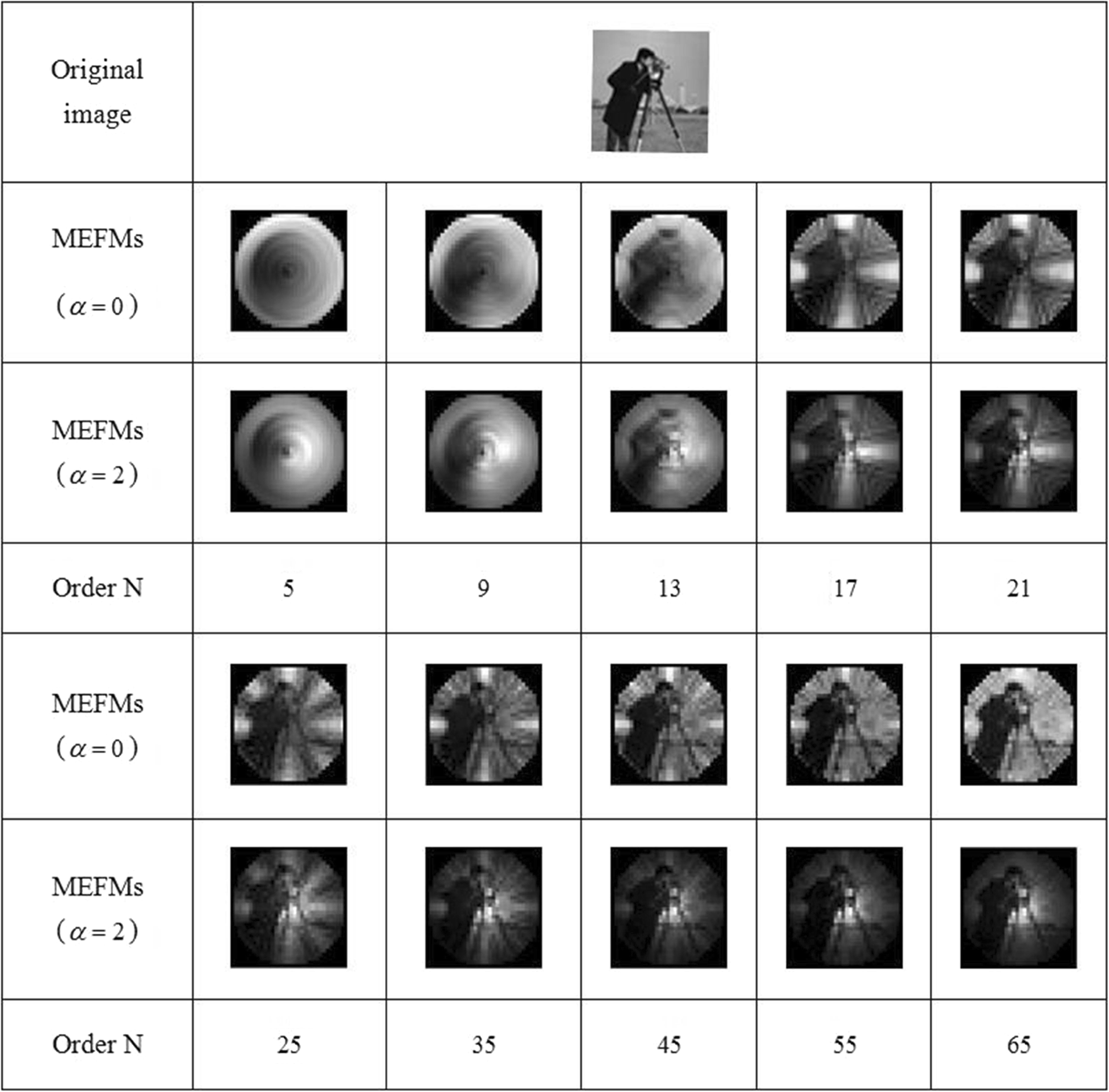 Fig. 9