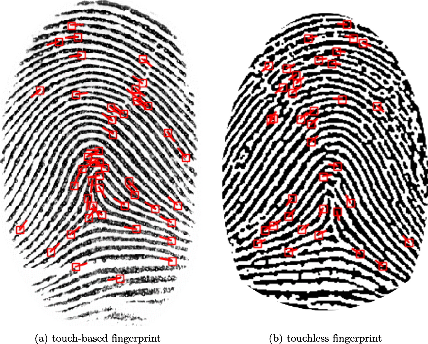 Fig. 6