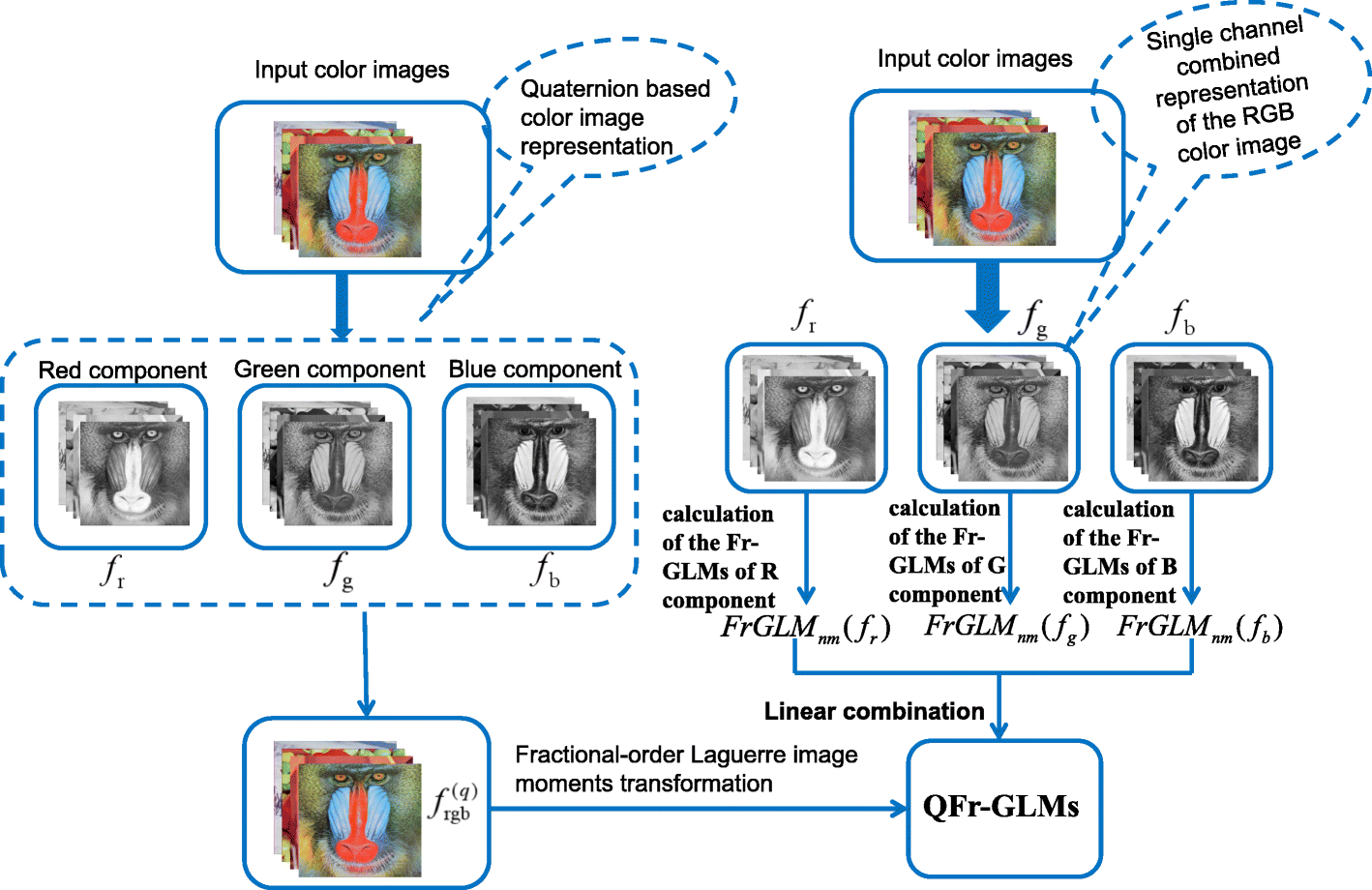 Fig. 1