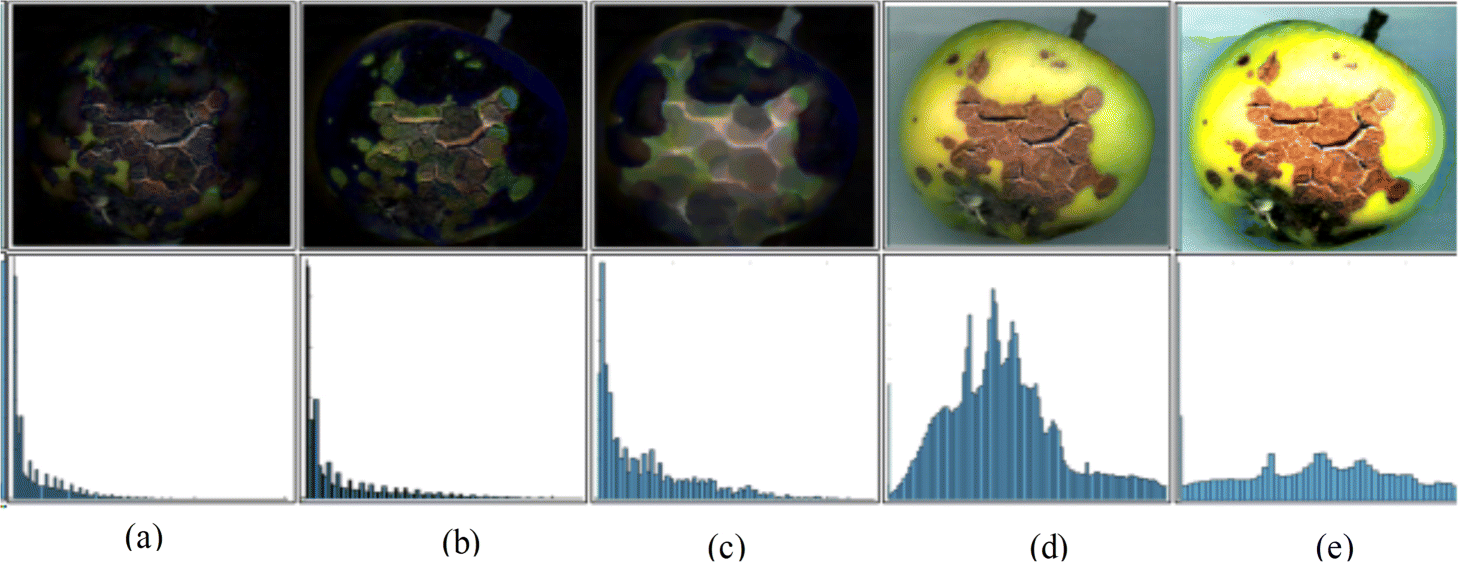 Fig. 3