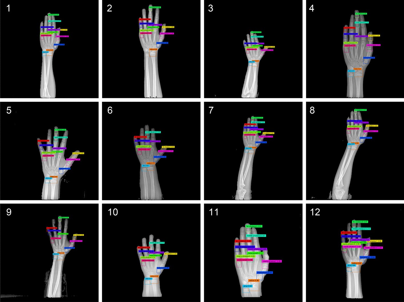 Fig. 13