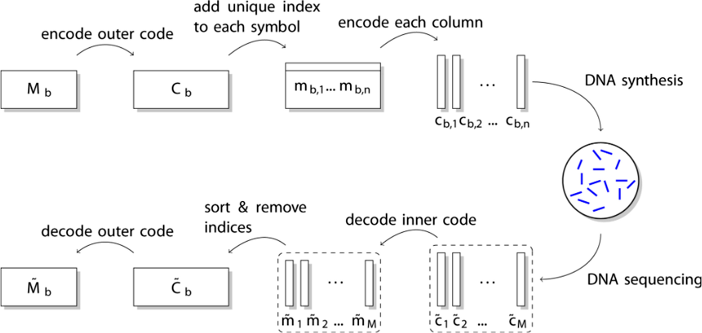 Fig. 6