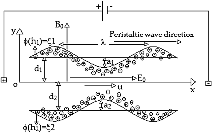 Figure 1