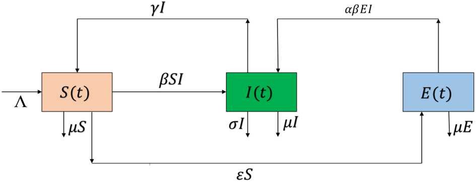 Figure 1