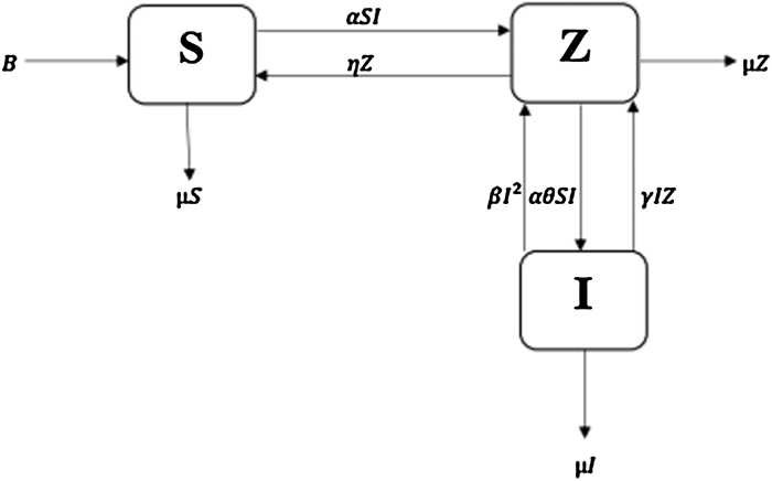 Figure 1