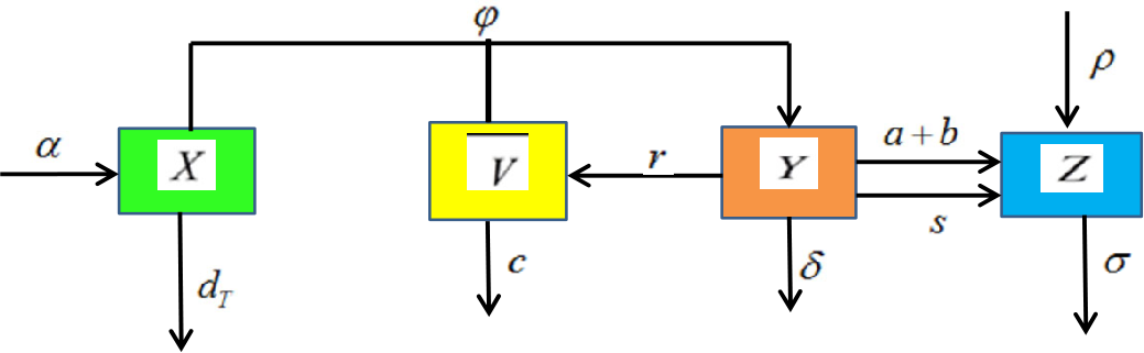 Figure 1