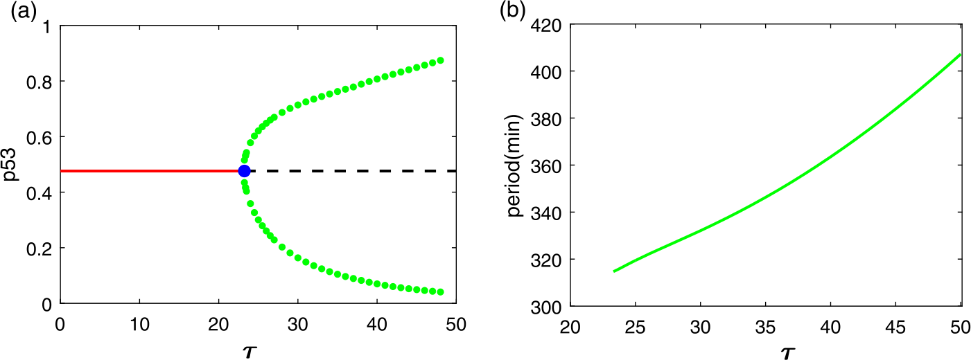 Figure 3