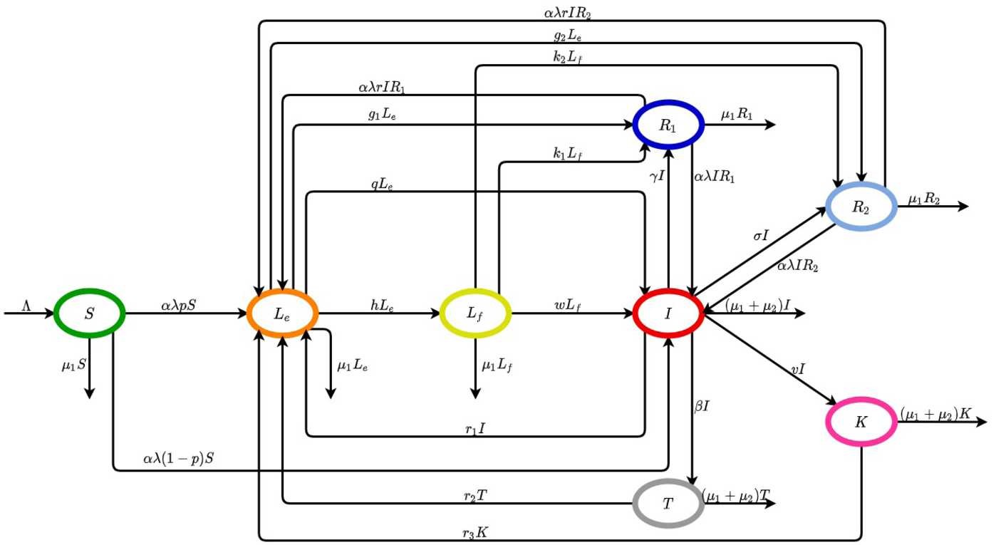 Figure 1