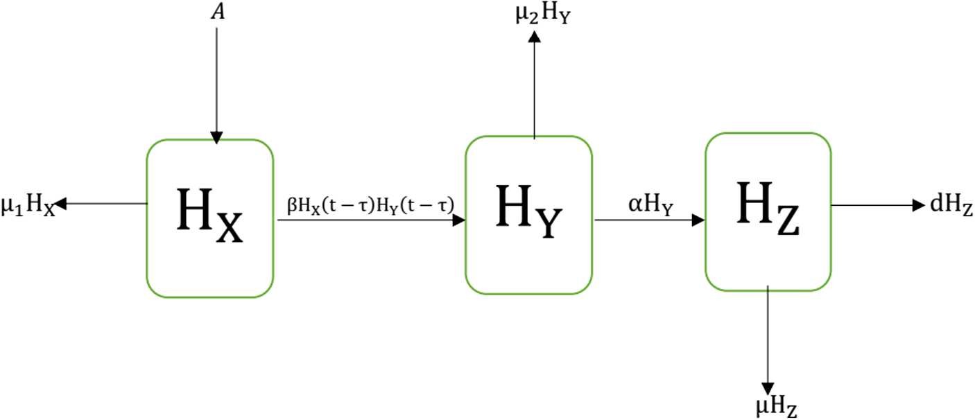 Figure 1