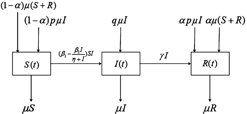 Figure 1