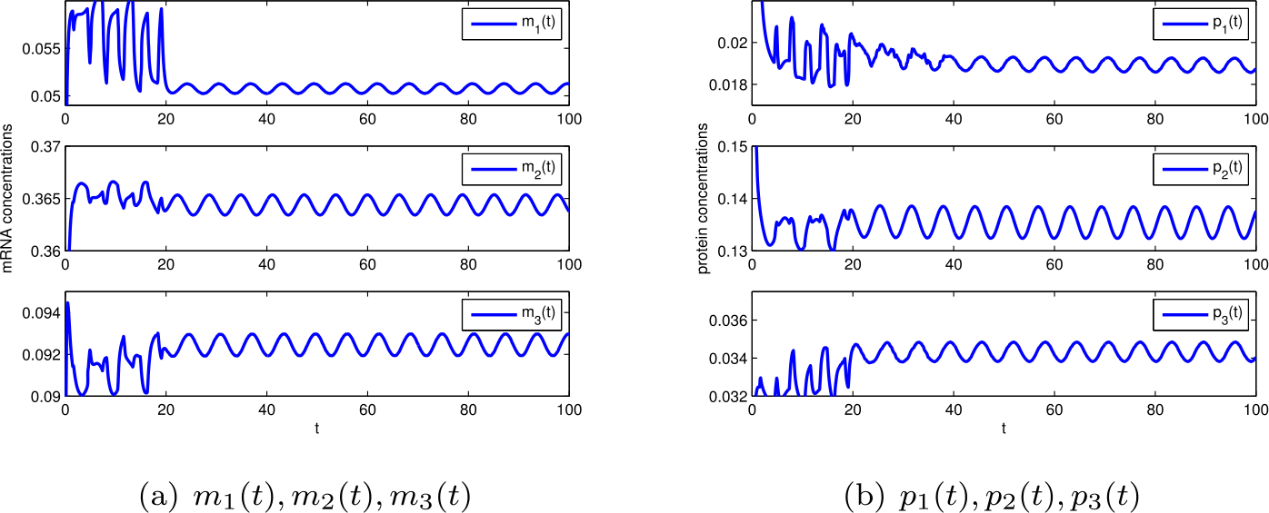 Figure 5