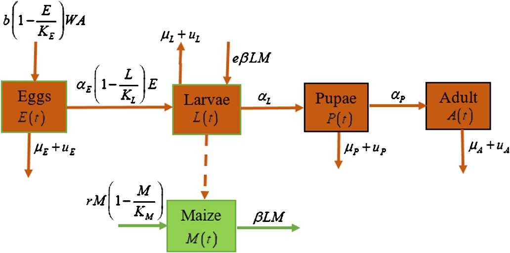 Figure 1