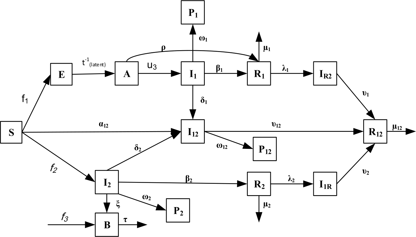 Figure 1