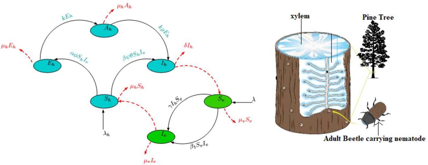 Figure 6