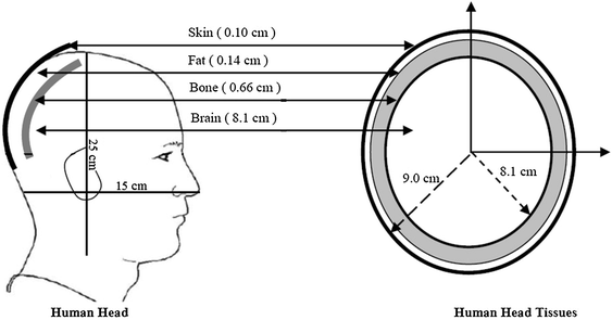 Fig. 1