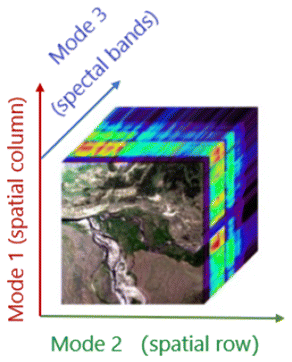 Fig. 1