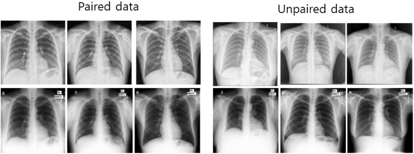 Fig. 1