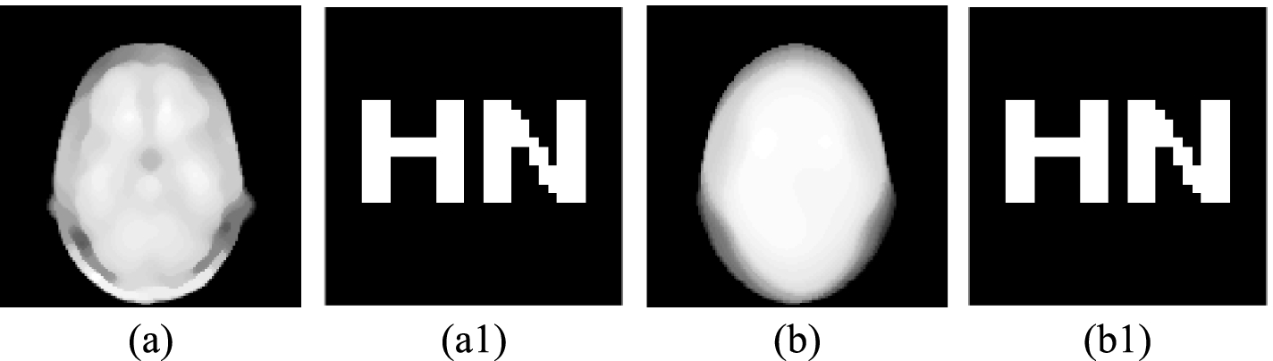 Fig. 10