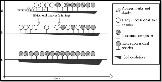 Fig. 9