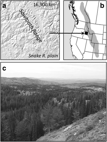 Fig. 1