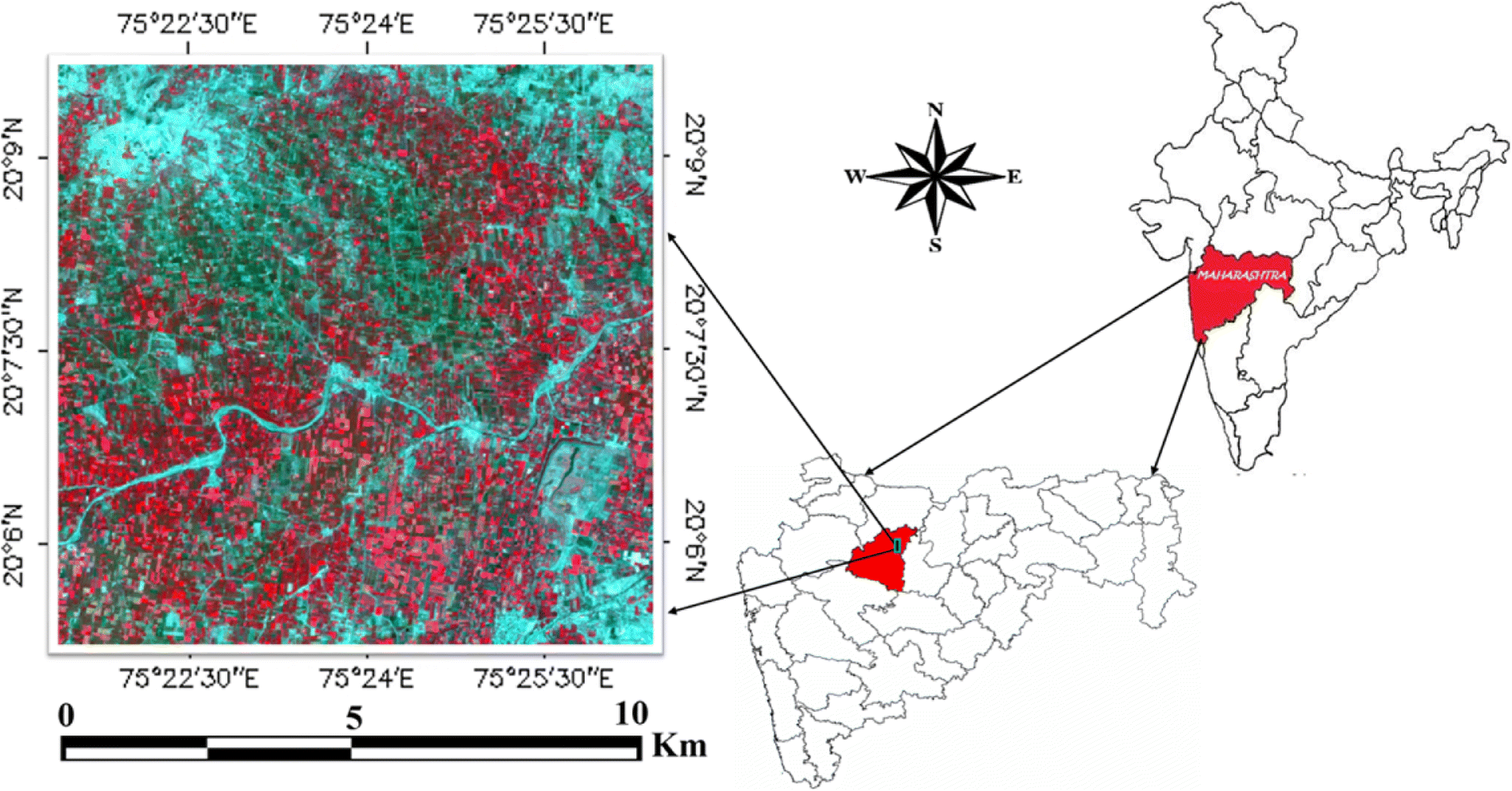 Fig. 1