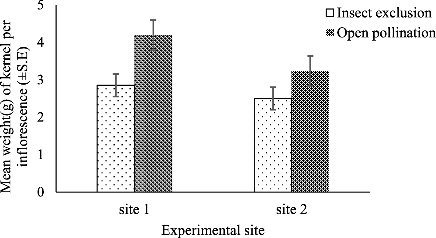 Fig. 5