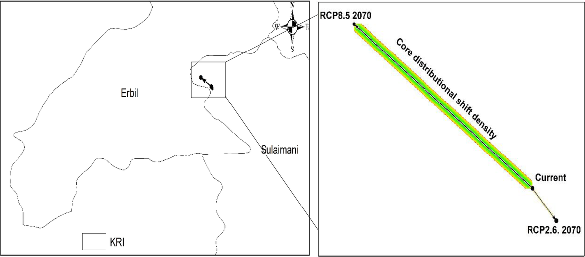 Fig. 10