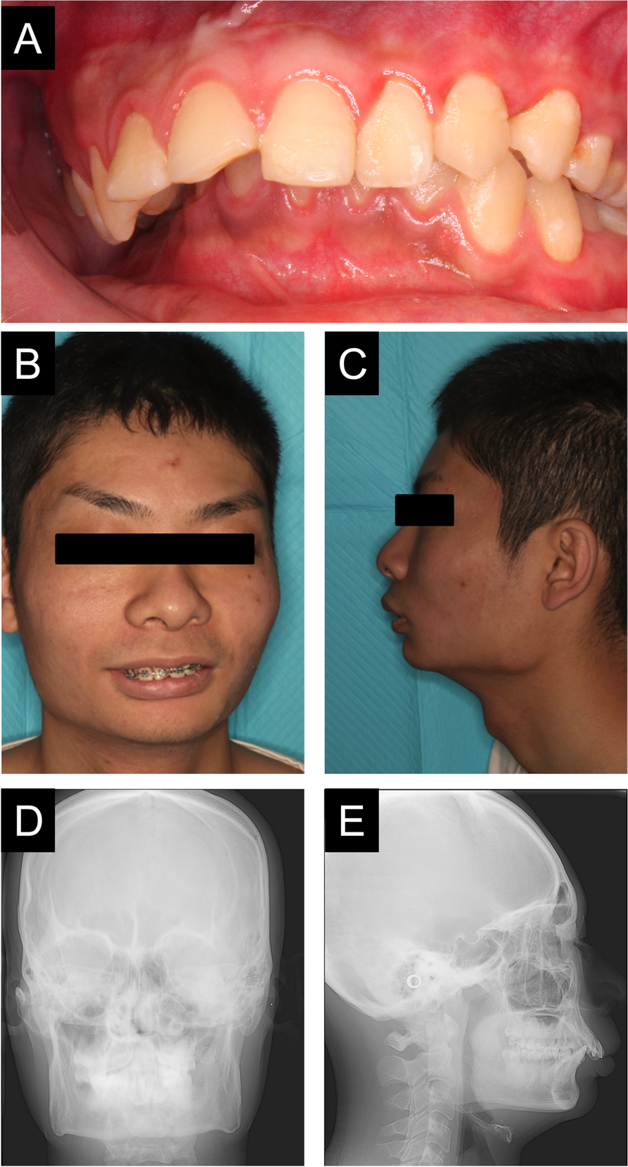 Fig. 1