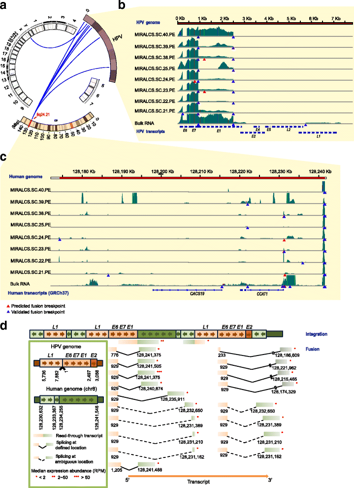 Fig. 5