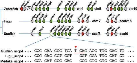 Fig. 4