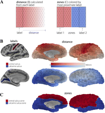 Fig. 14 (abstract A17).