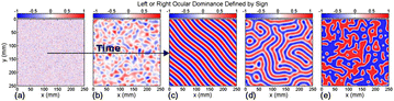 Fig. 16 (abstract A20).