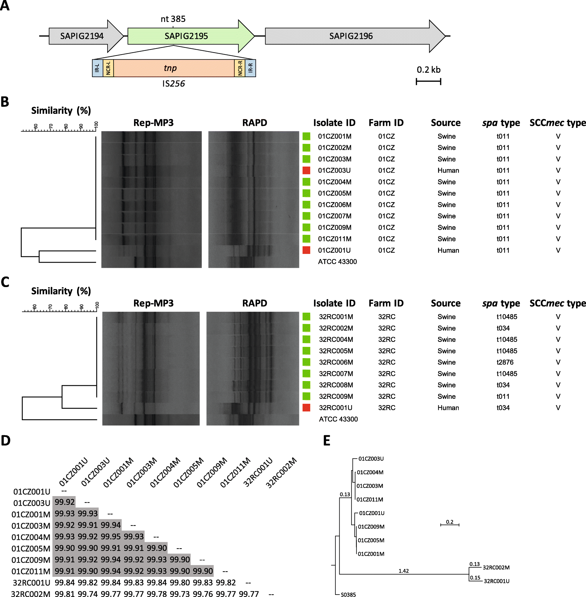 Fig. 3