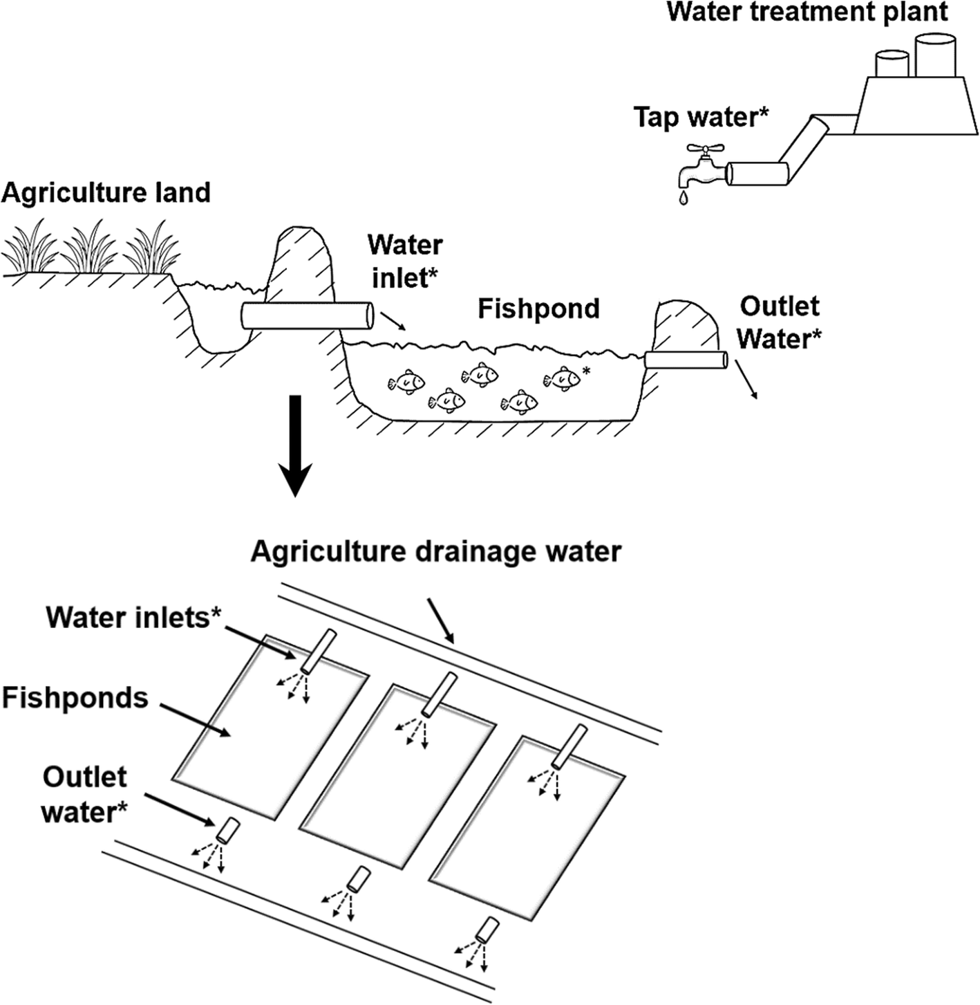 Fig. 1