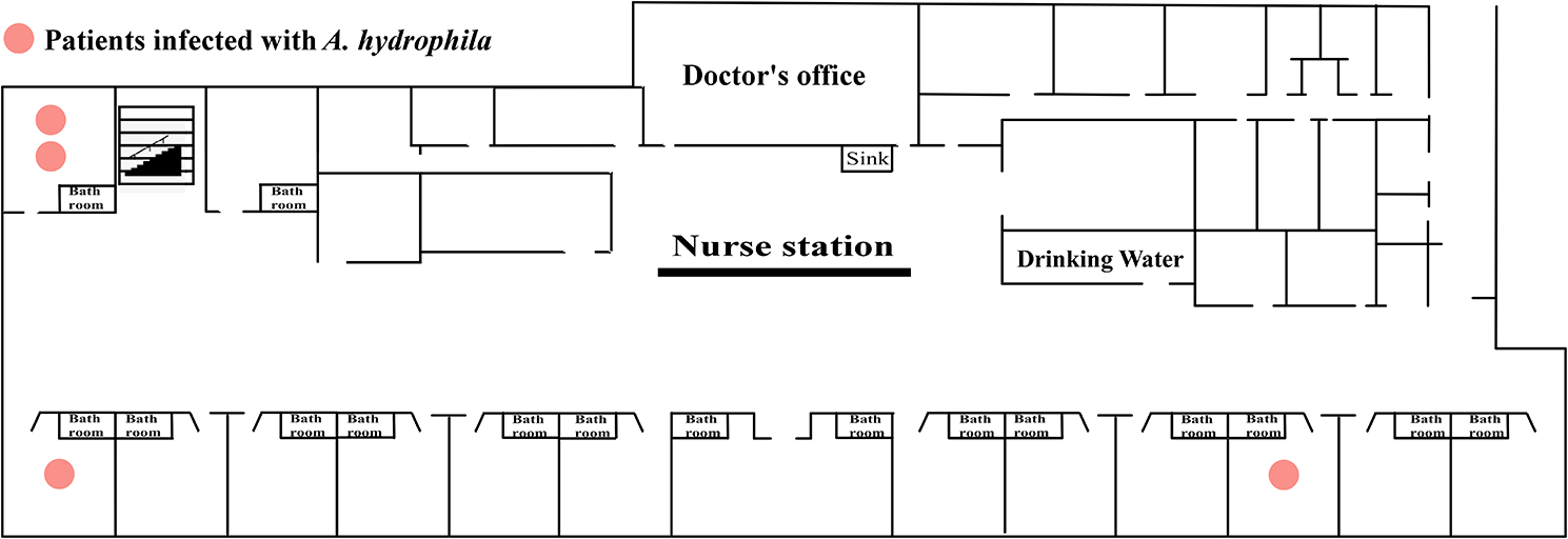 Fig. 2