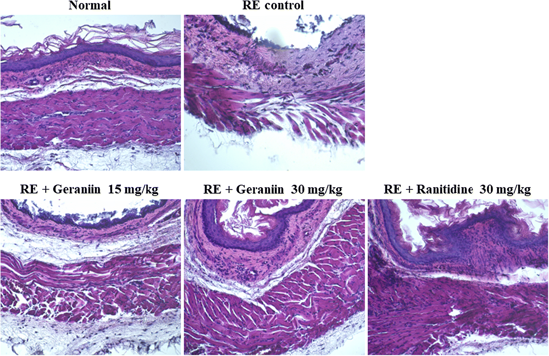 Fig. 4