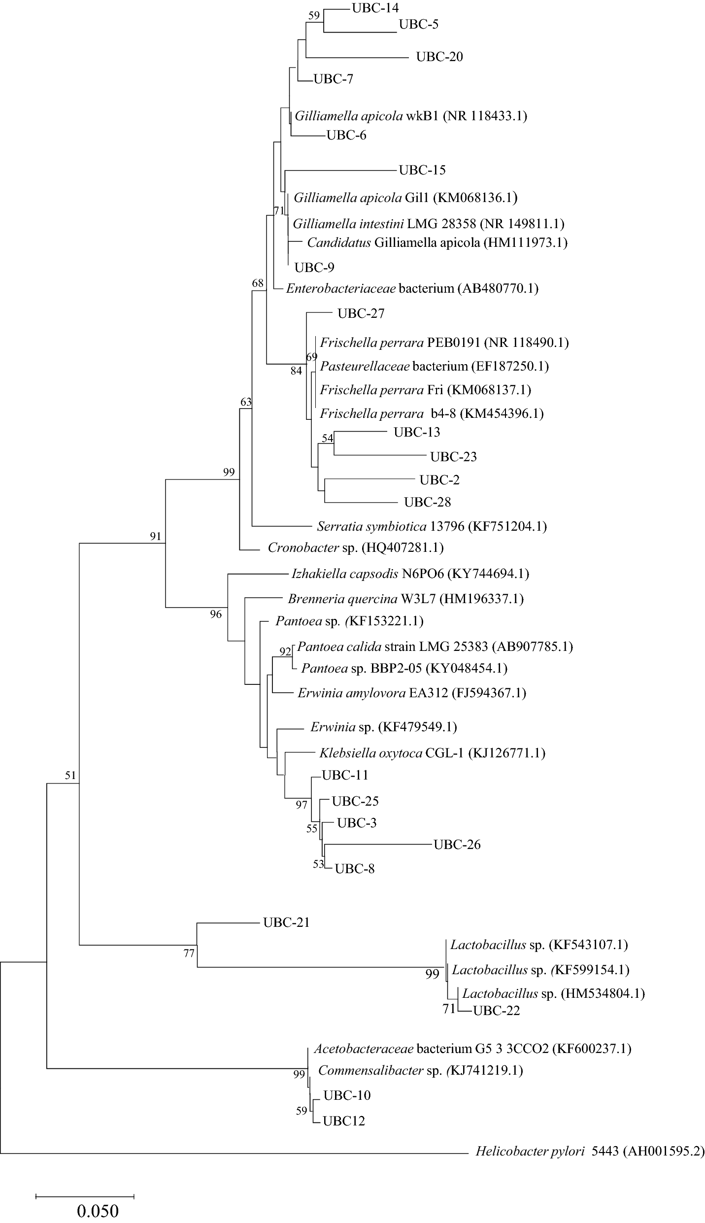 Fig. 2