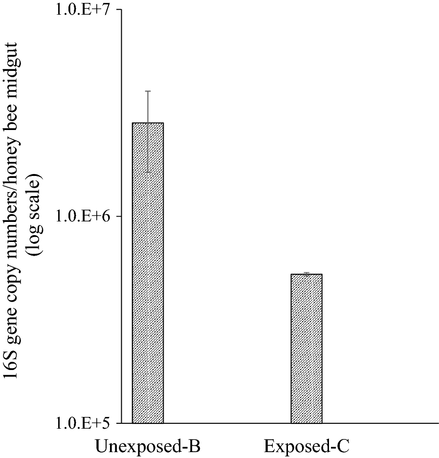 Fig. 4