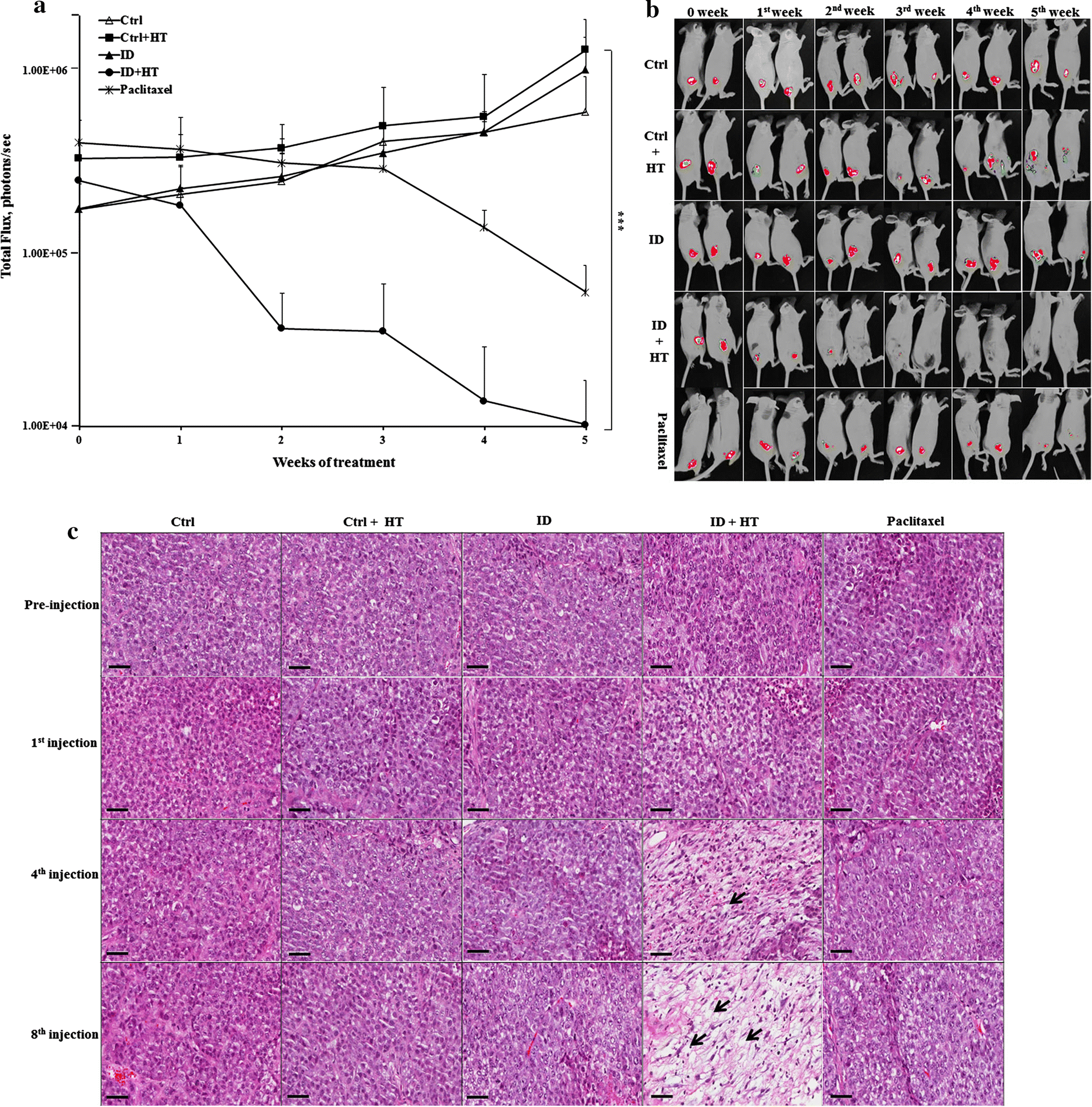 Fig. 4