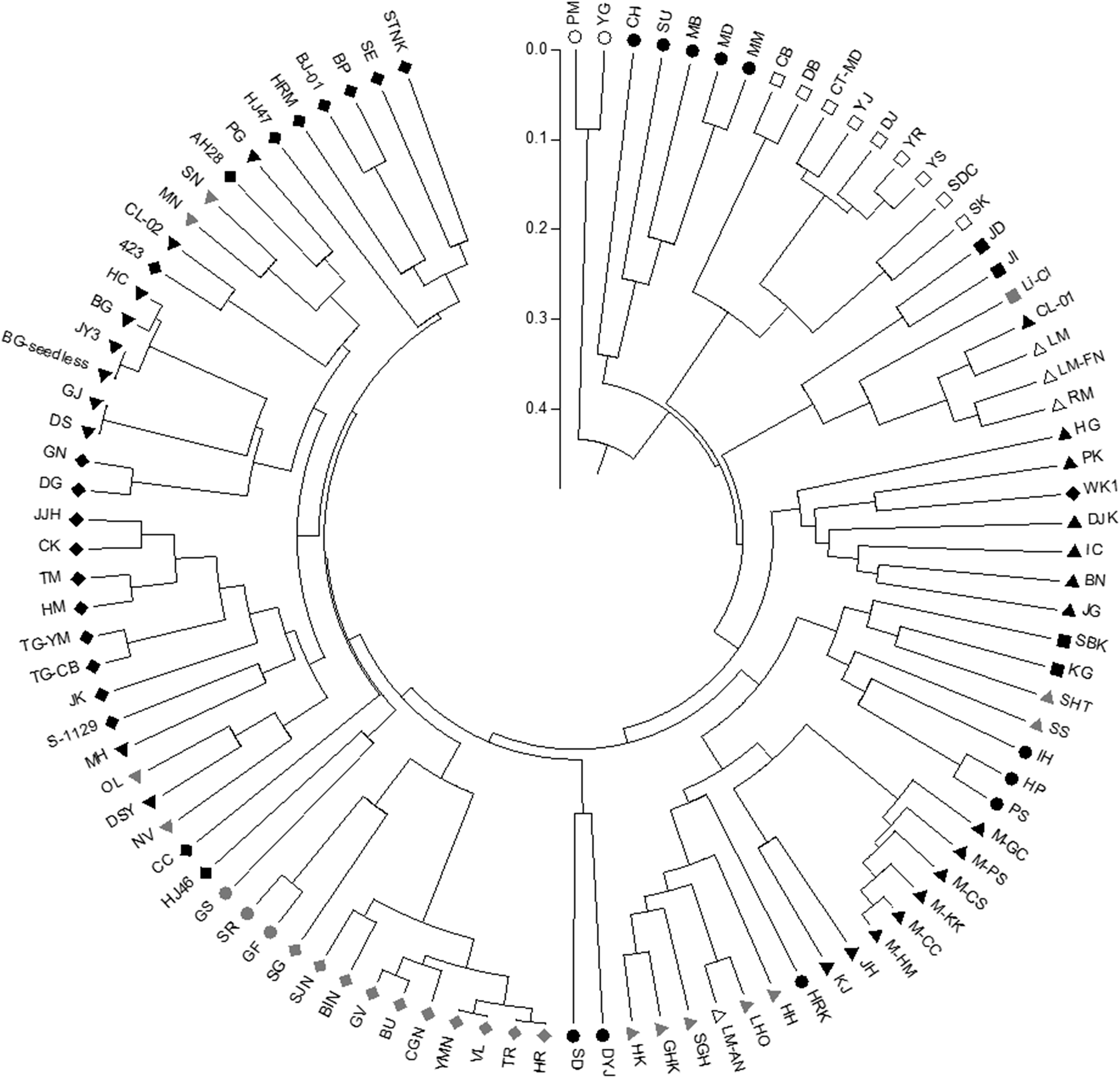 Fig. 1