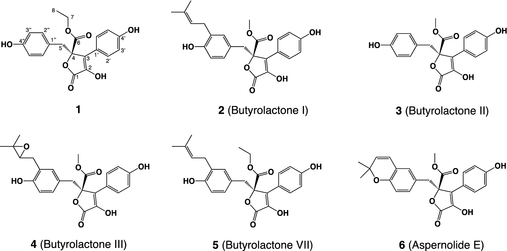 Fig. 1