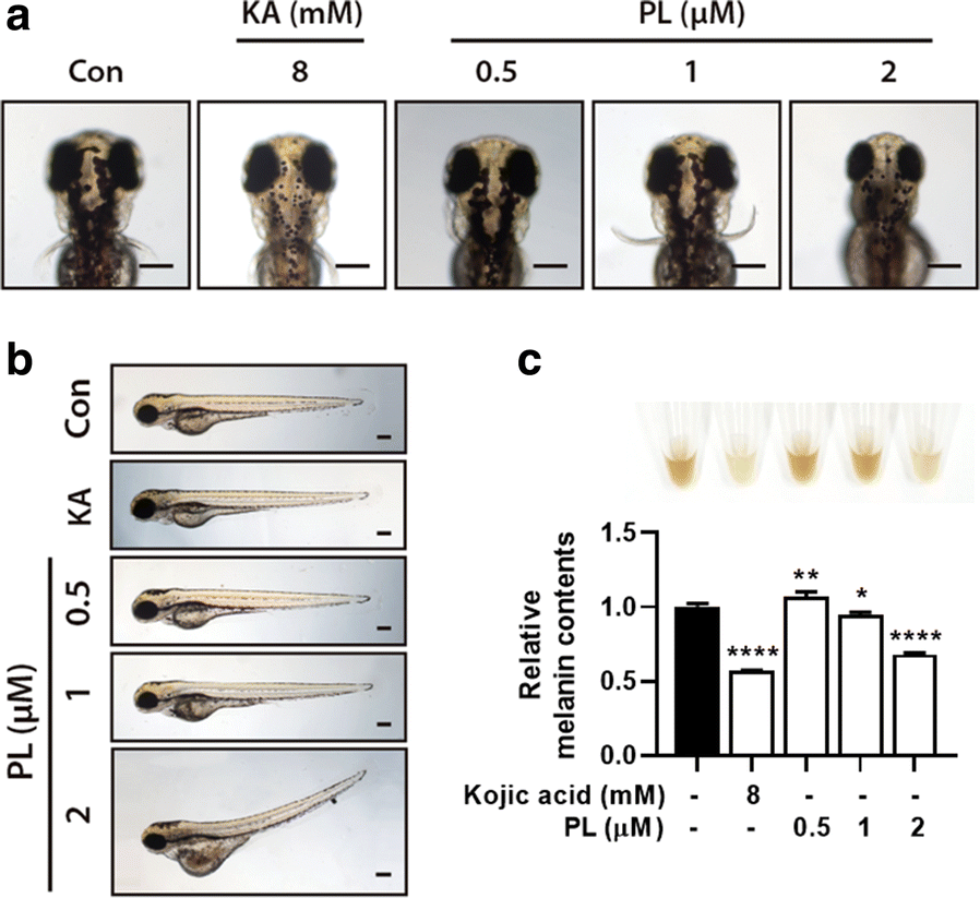 Fig. 4