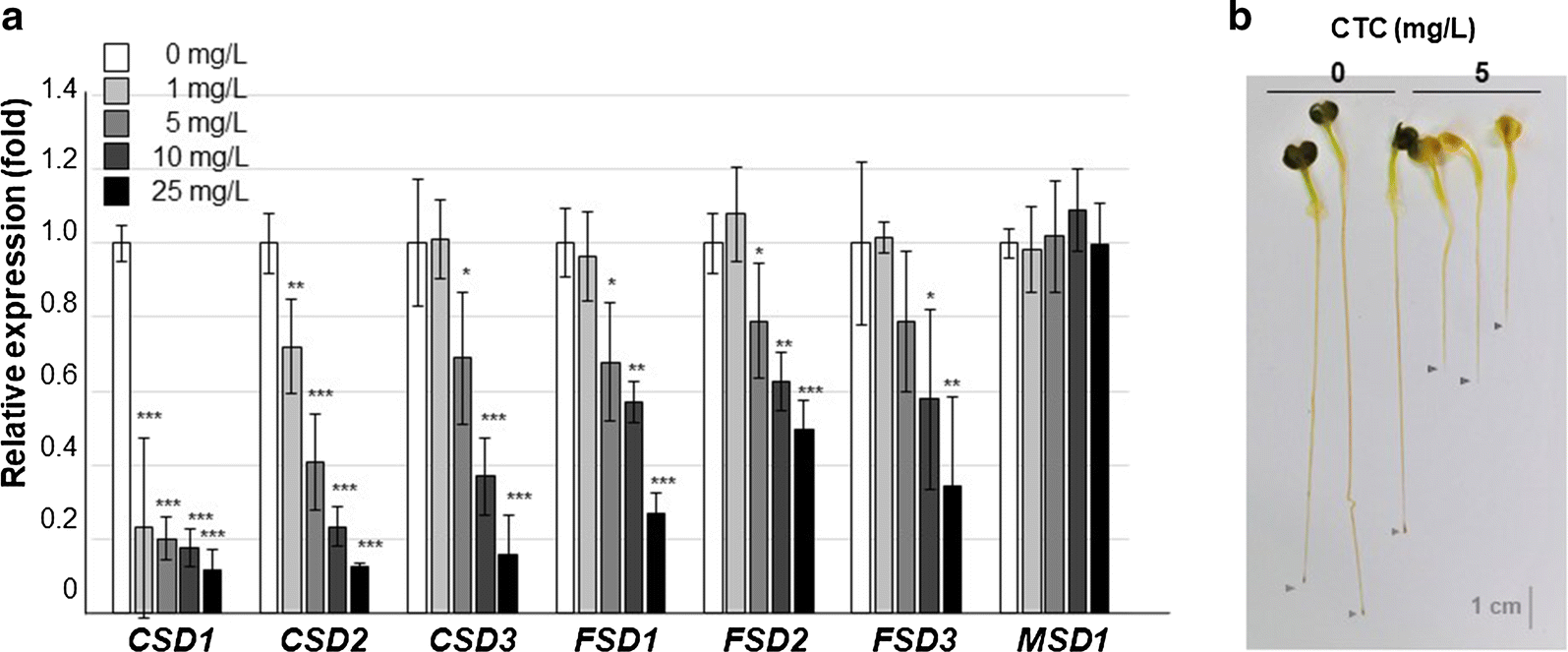 Fig. 4