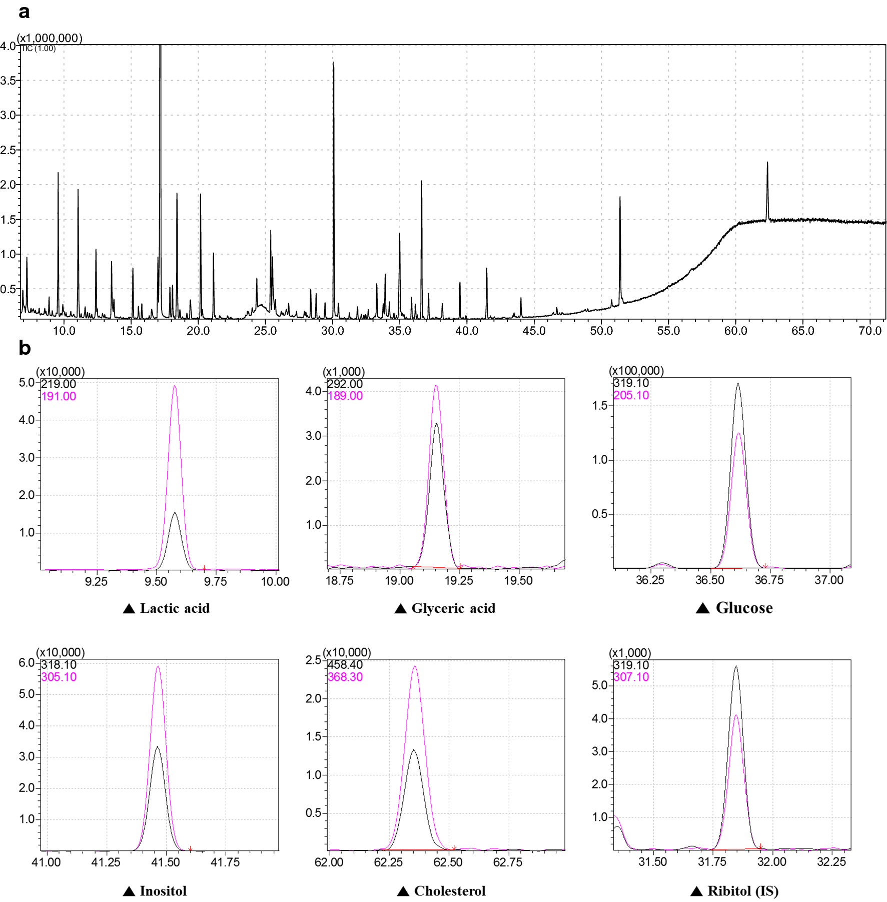 Fig. 1