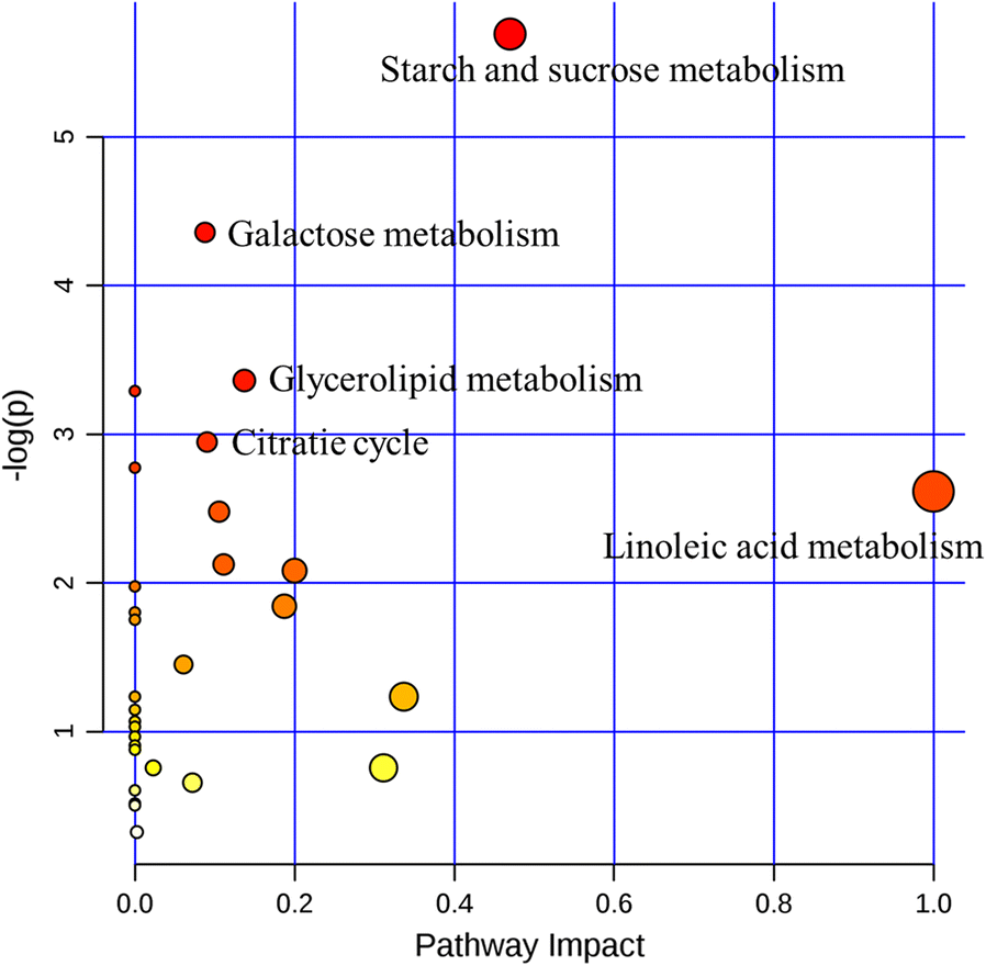 Fig. 3