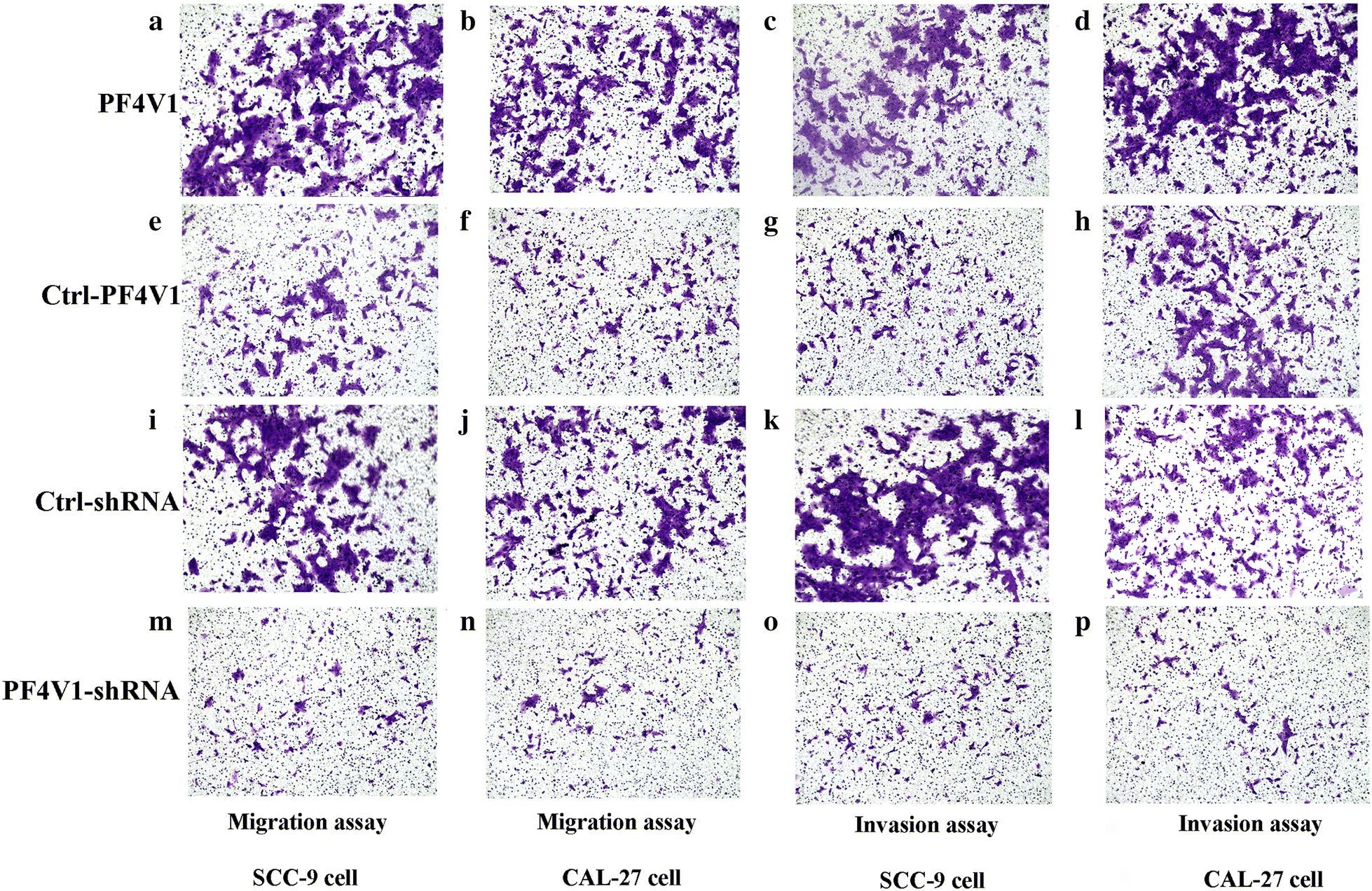 Fig. 4