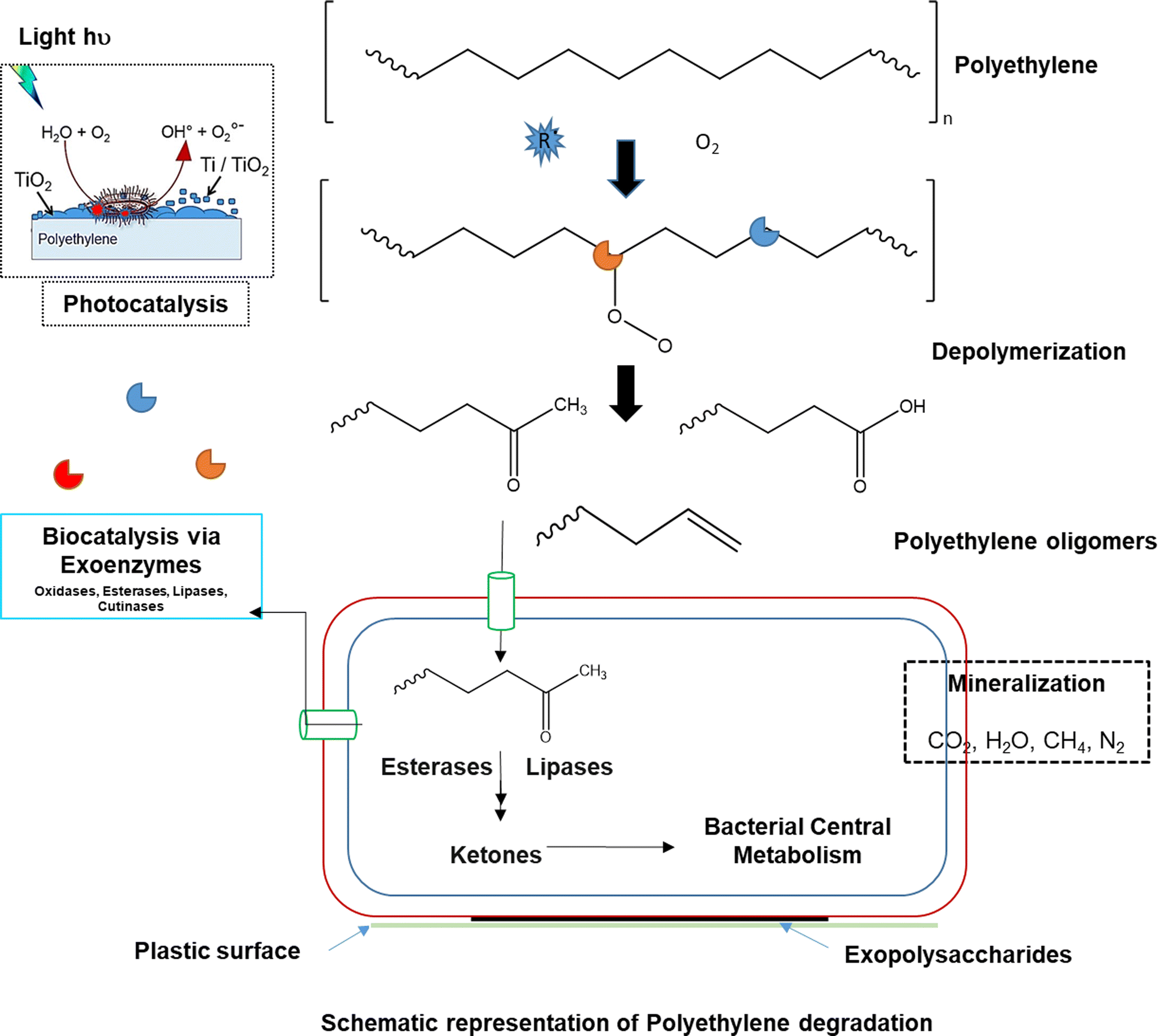 Fig. 4